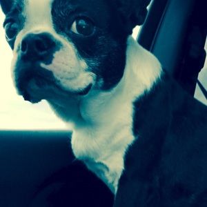 Meet your Posher, Julie